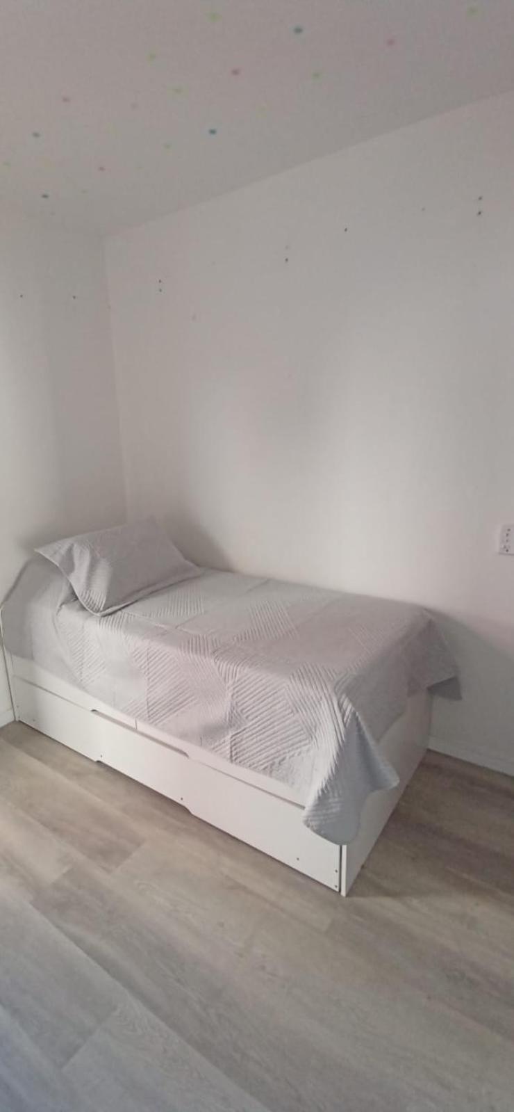 Apartamento Apto Proximo A 120 Mts Rio Vermelho - 3 Quartos 8 Florianopolis